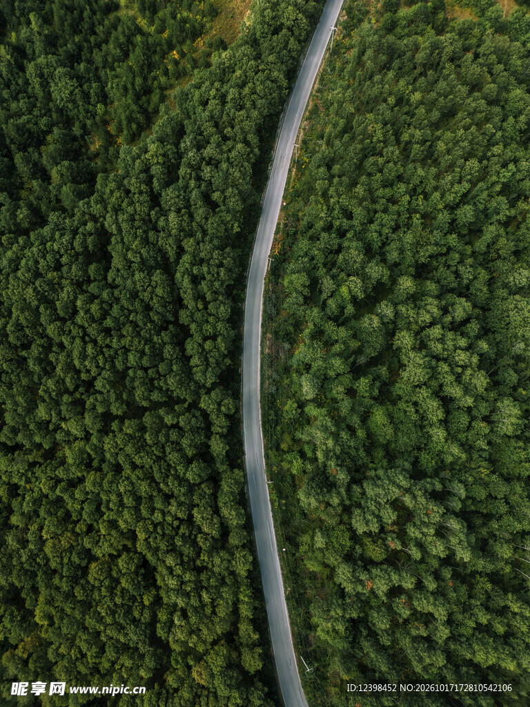 航拍林间蜿蜒公路