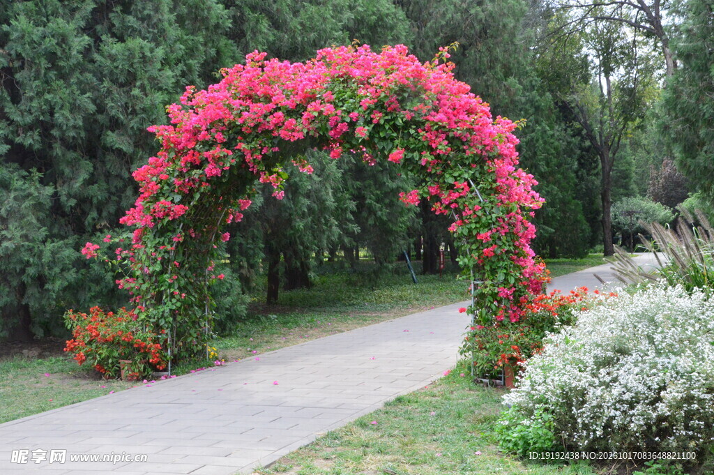 天坛花境风景 