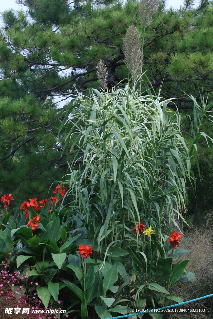 天坛花境风景