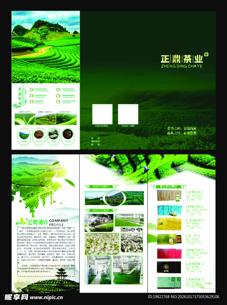 茶叶折页
