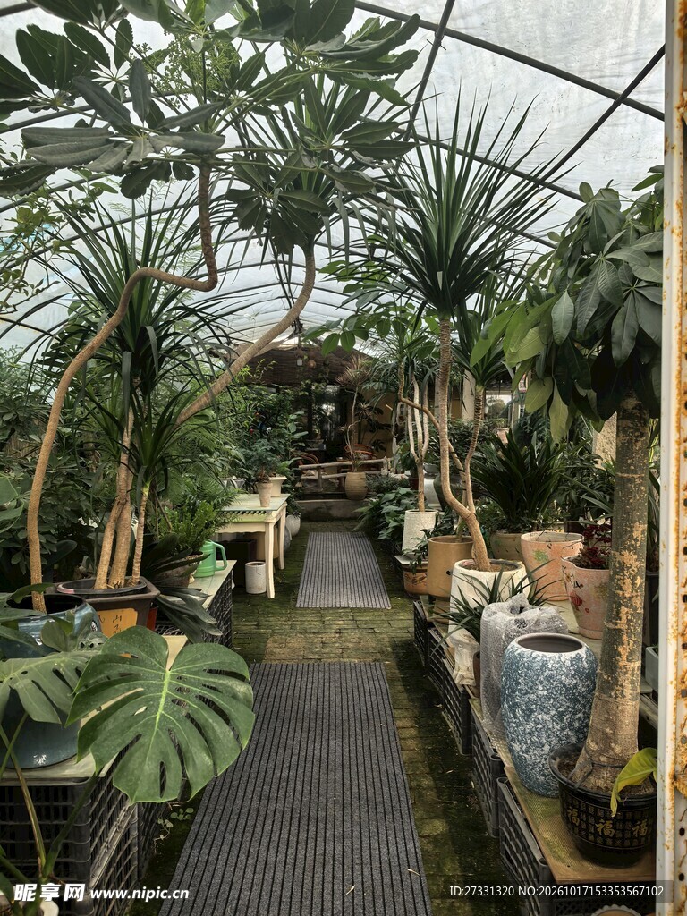 温室绿植步道景观