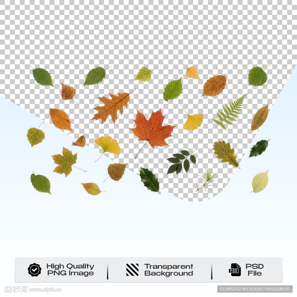 秋日落叶素材