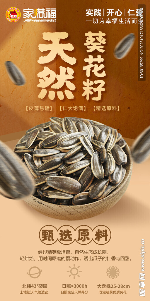 天然葵花籽宣传海报