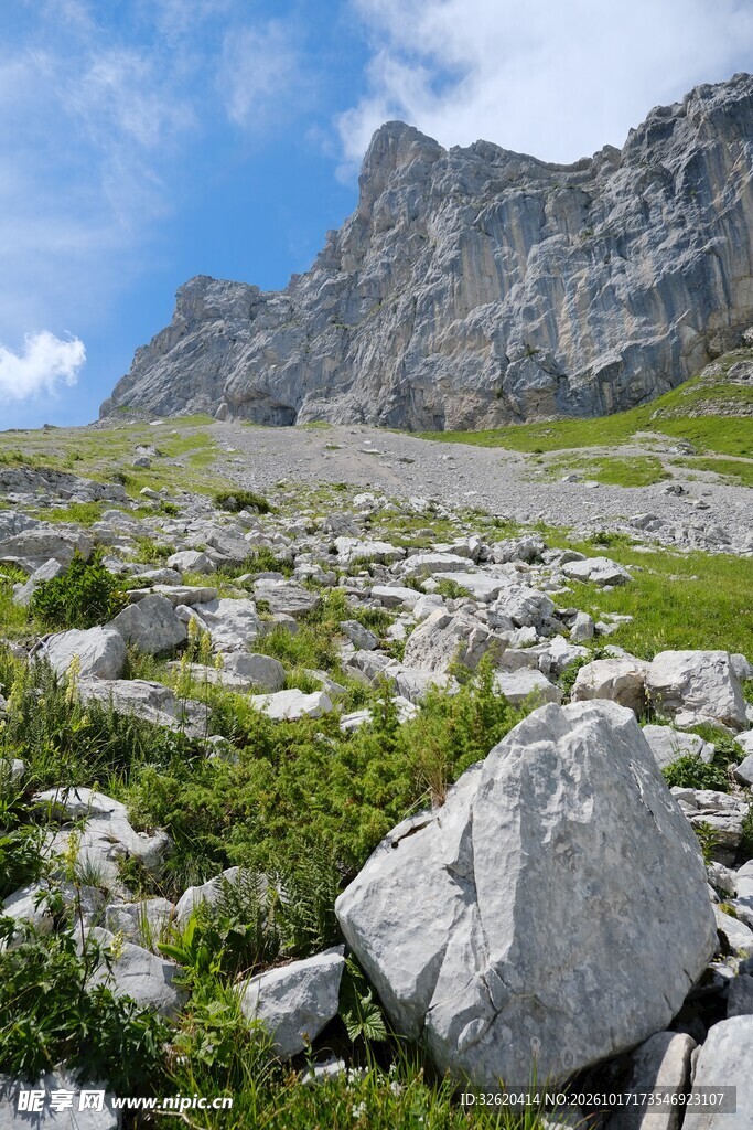 高山草甸山野风光