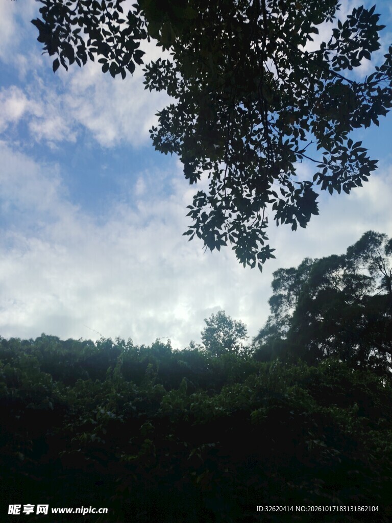 郊野树影云天自然风景