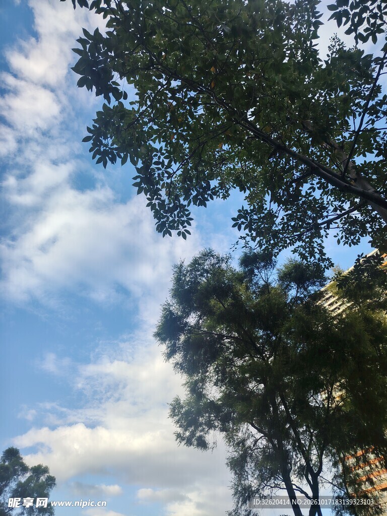 蓝天绿树自然风景