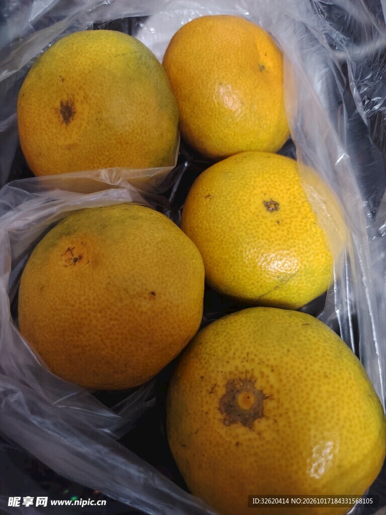 柑橘