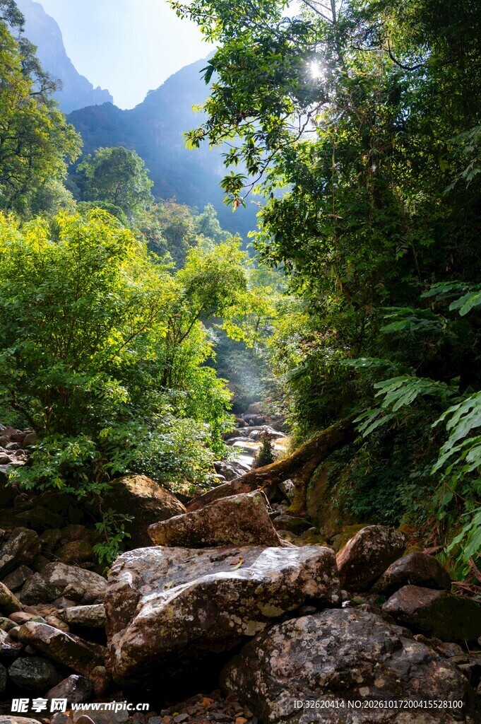 山林溪谷自然美景