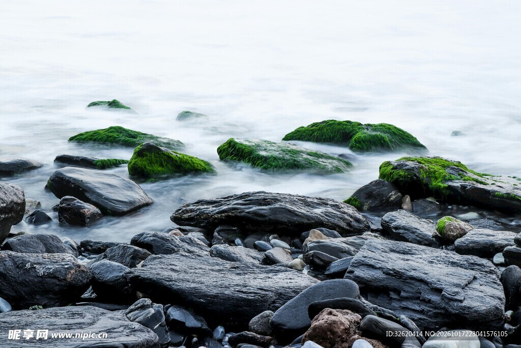 海边青苔礁石水景