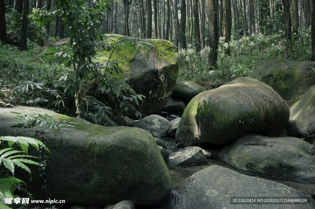 林间溪涧青苔石