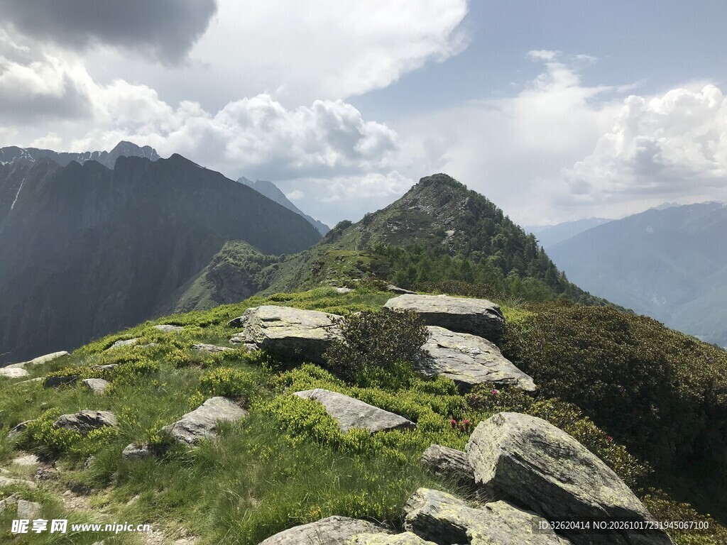 高山草甸山野风光