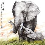 大象母子图