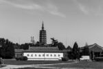 古塔黑白城市远景