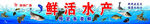鲜活水产海报