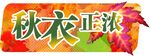 秋衣正浓