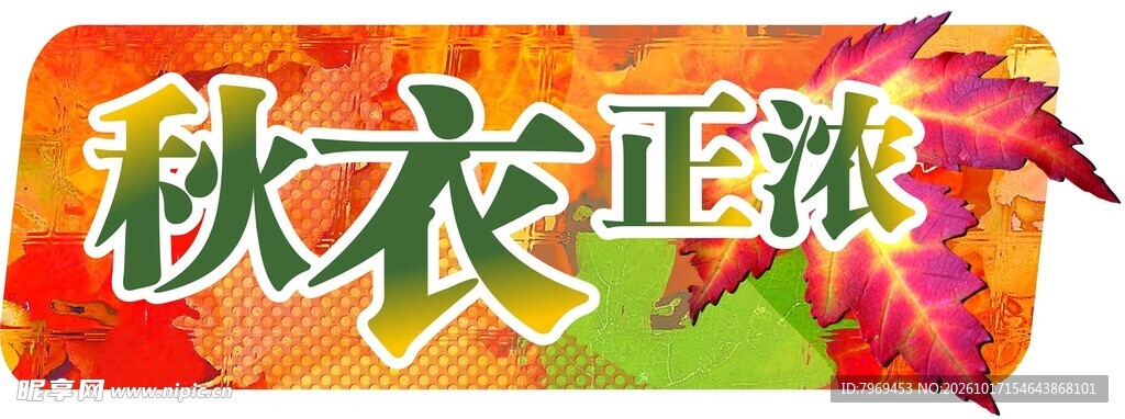 秋衣正浓