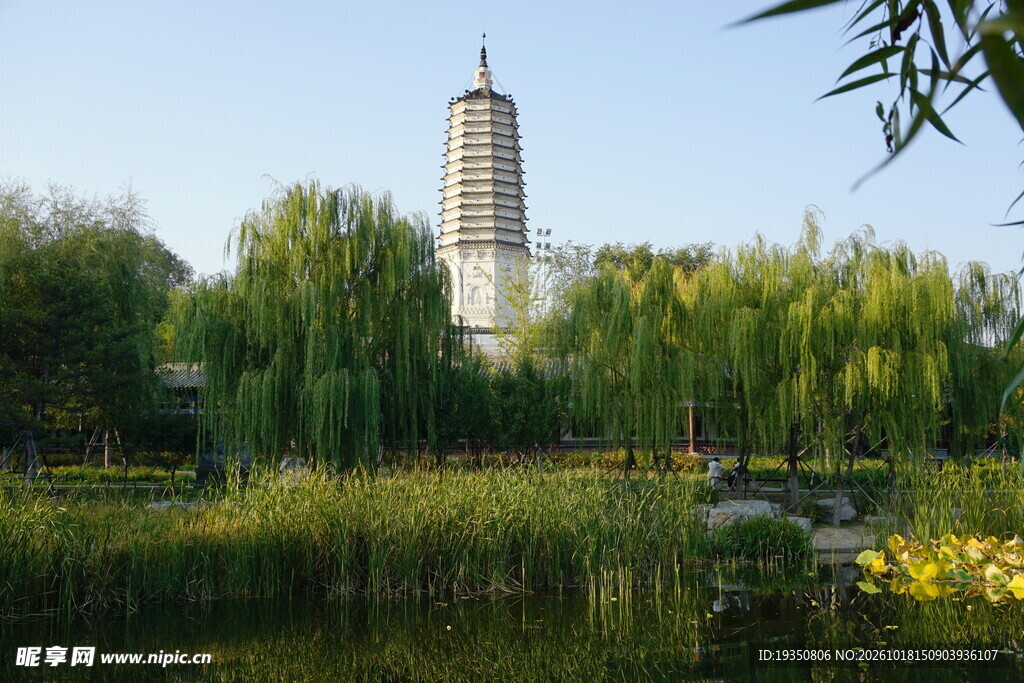 沈阳塔湾舍利塔秋景