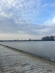 湖岸远眺城市风光
