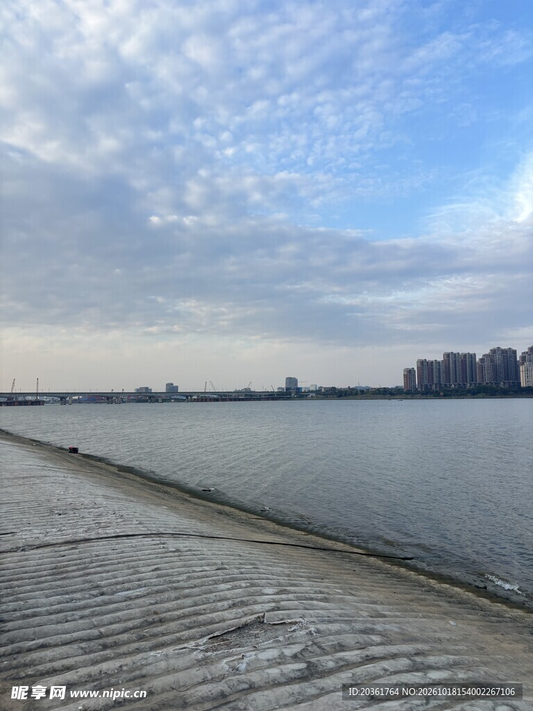 湖岸远眺城市风光