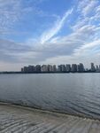 湖岸远眺城市风光