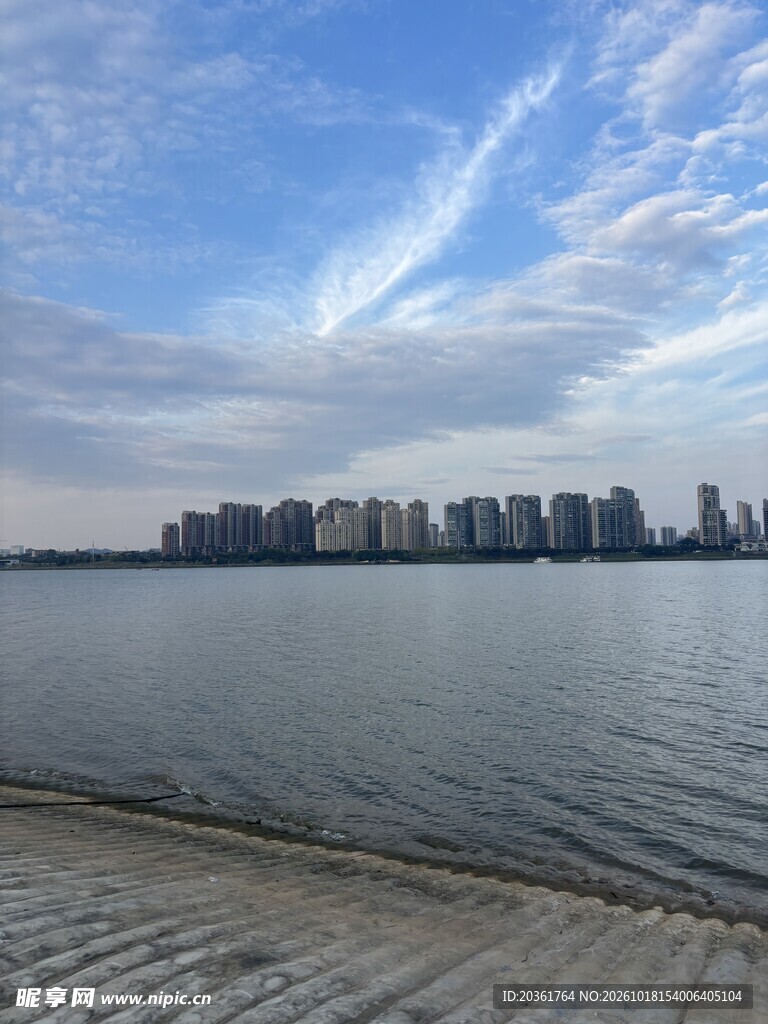 湖岸远眺城市风光