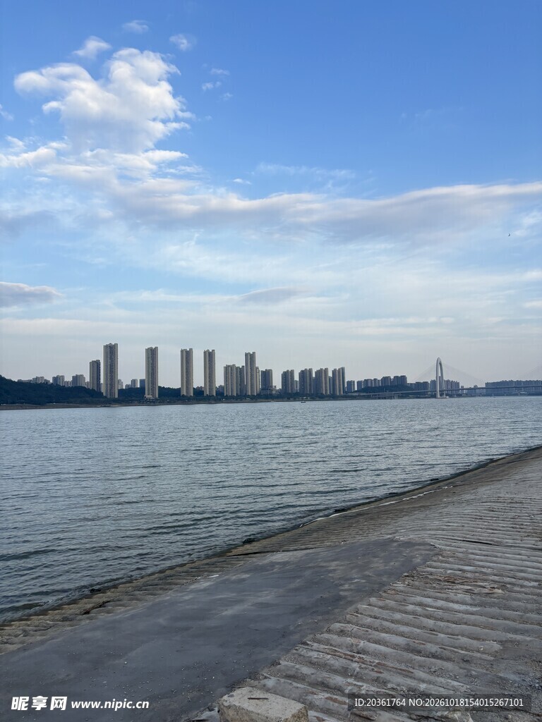 江岸远眺城市风光