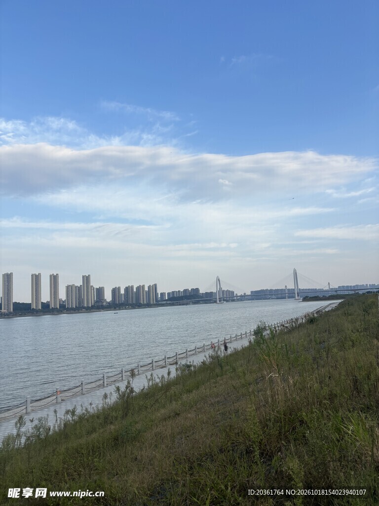 江畔城市晴日风光
