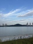 湖岸城市远景风光