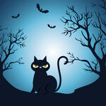 万圣节暗夜黑猫插画