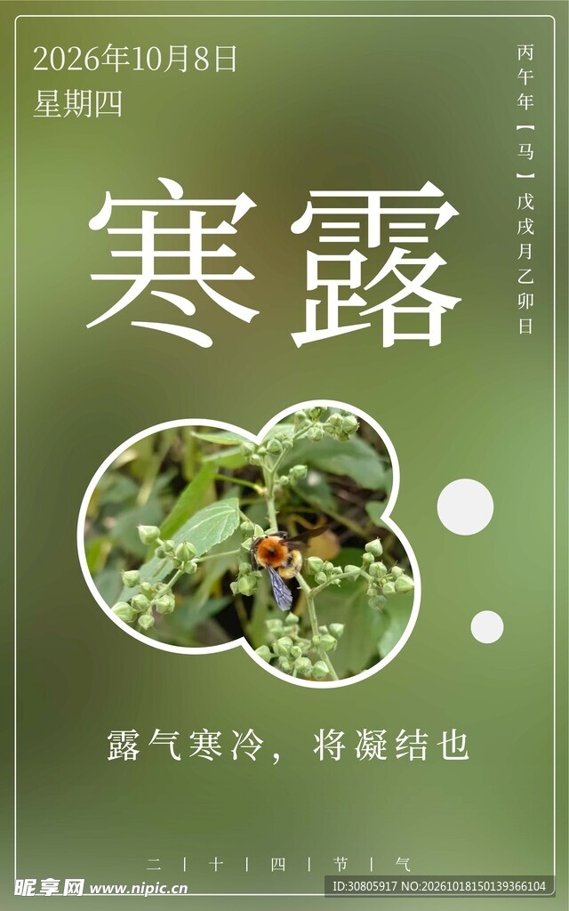 寒露
