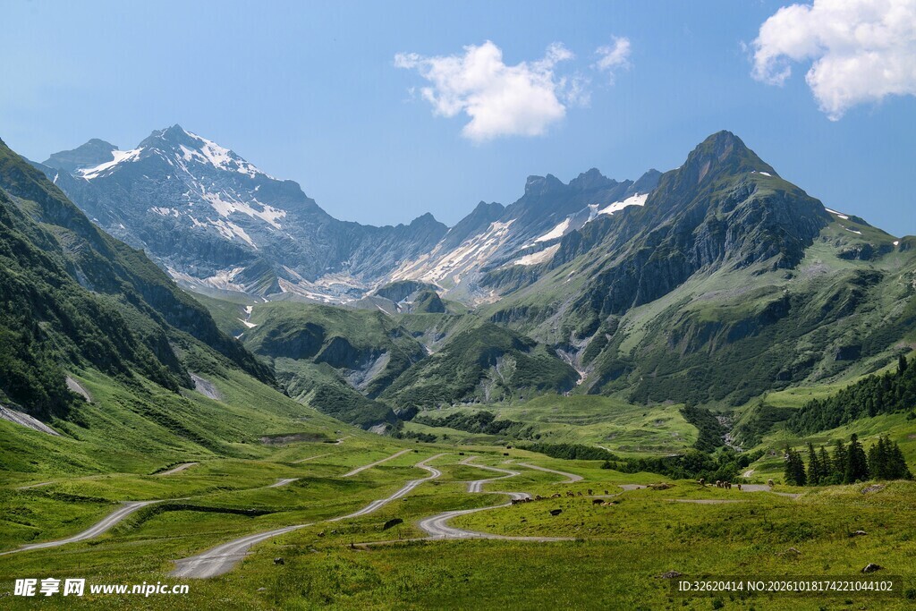 高山草甸山野风光