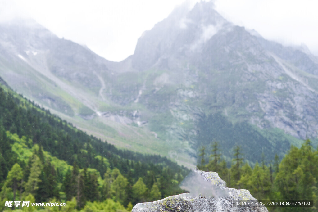 高山森林自然景观
