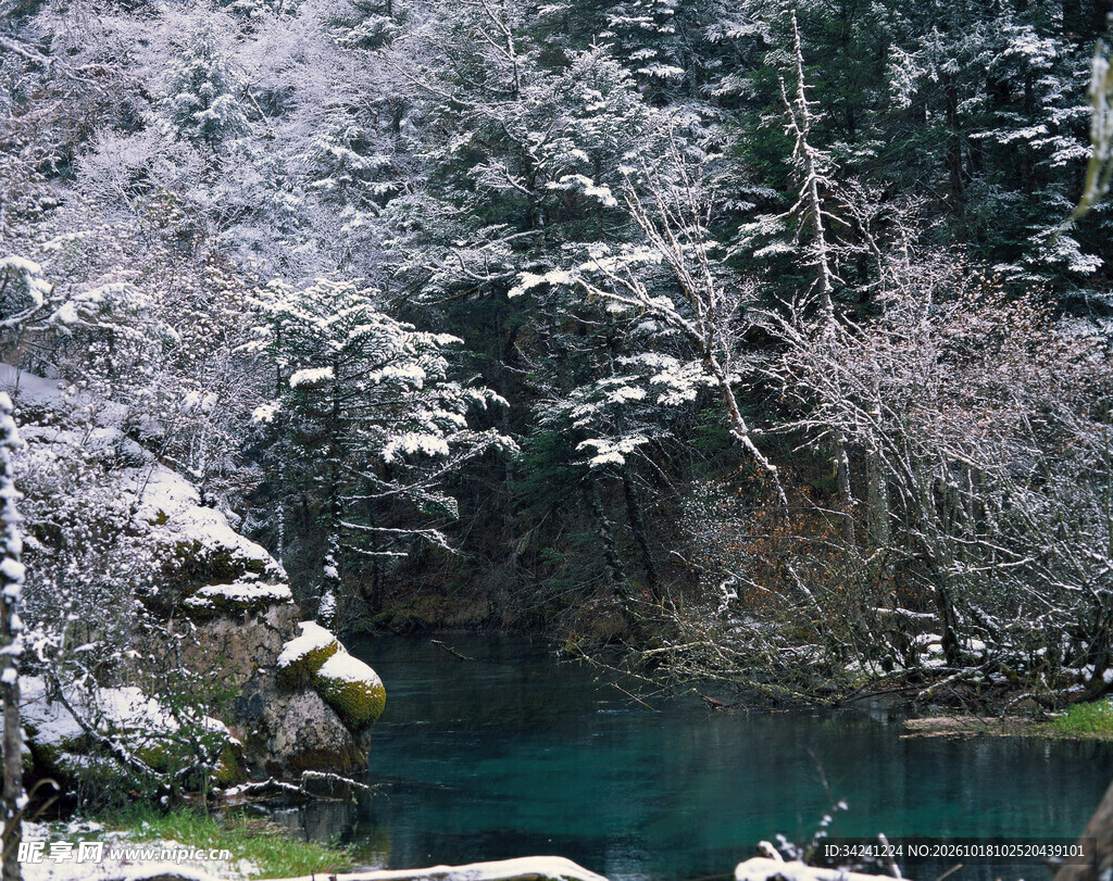 湖畔春日樱花盛景