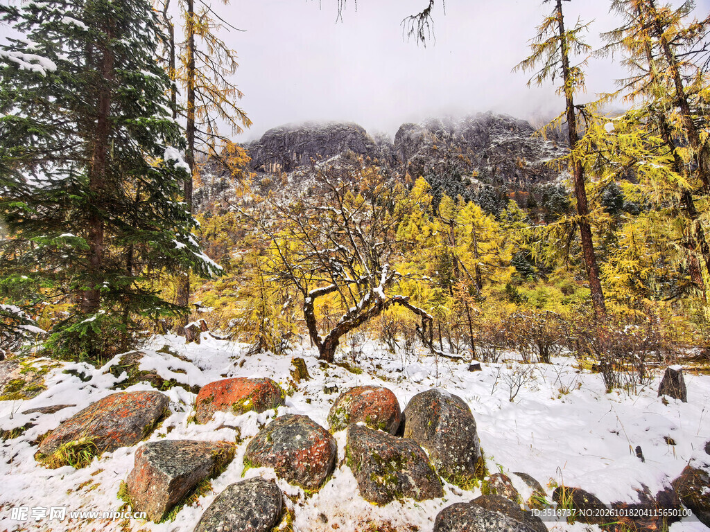川西雪景