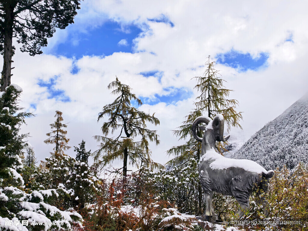 毕棚沟雪景