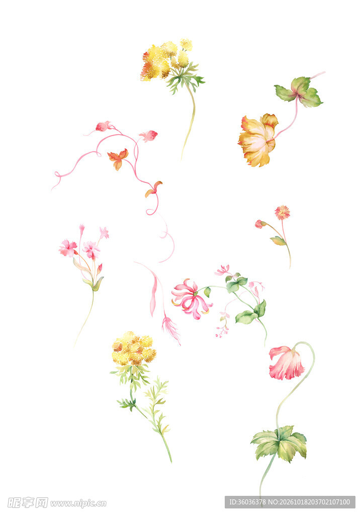 手绘水彩小花枝合集