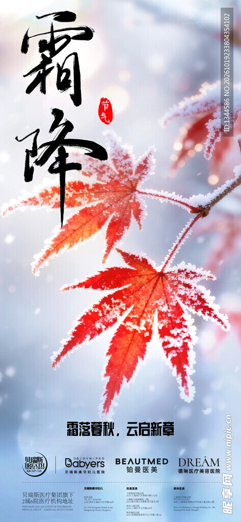 霜降节气枫叶海报