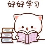 好好学习萌猫读书