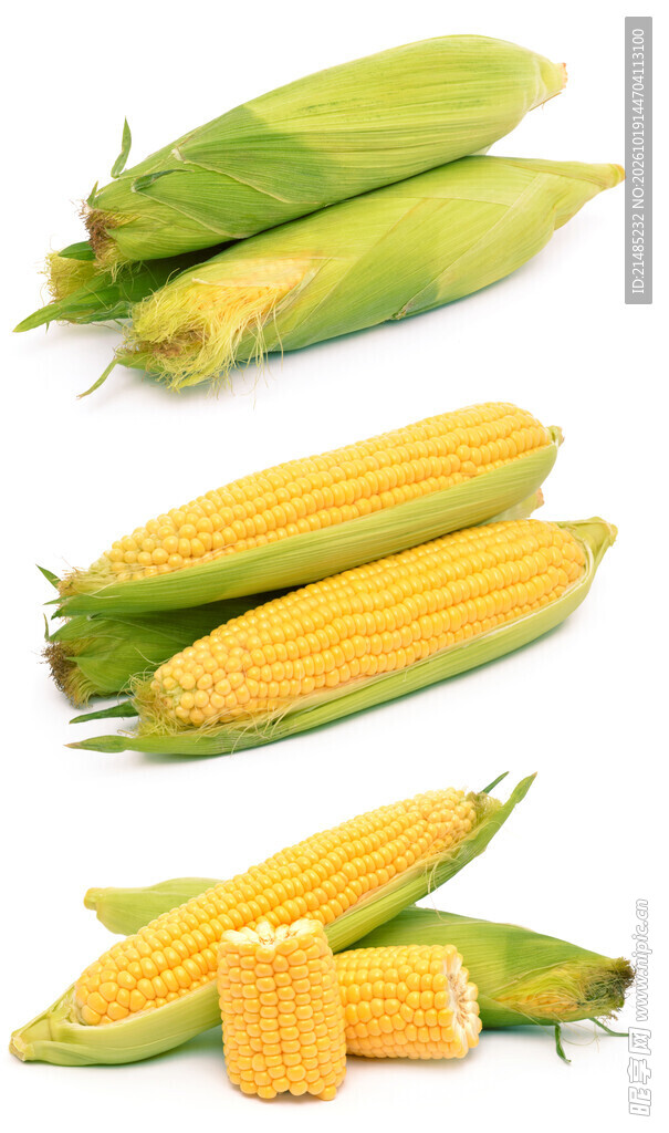 玉米 