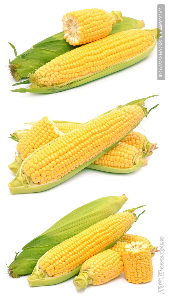 玉米 