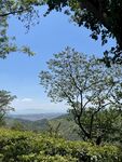 郊野晴日山林风光