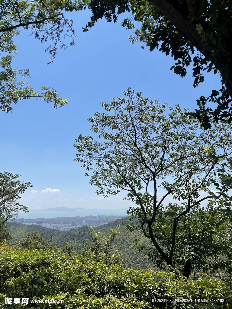 郊野晴日山林风光