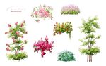 水彩花卉素材