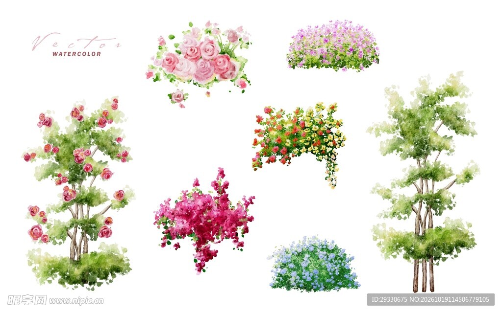 水彩花卉素材