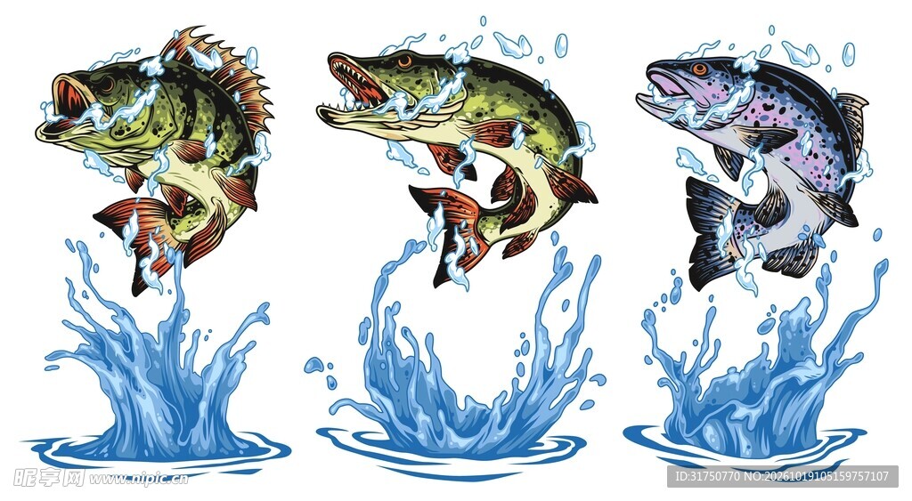 跃水鱼类素材