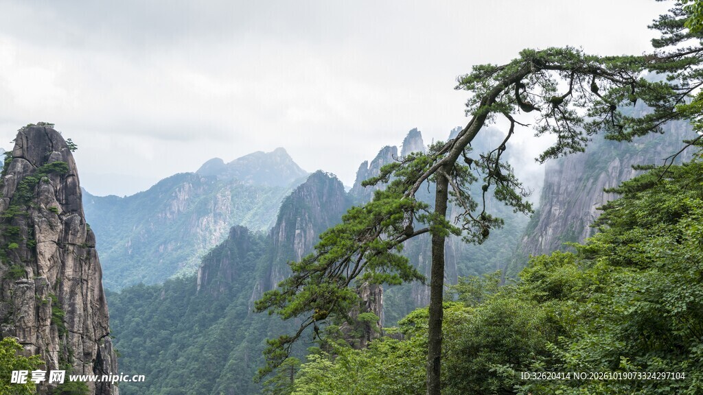黄山迎客松山景风光