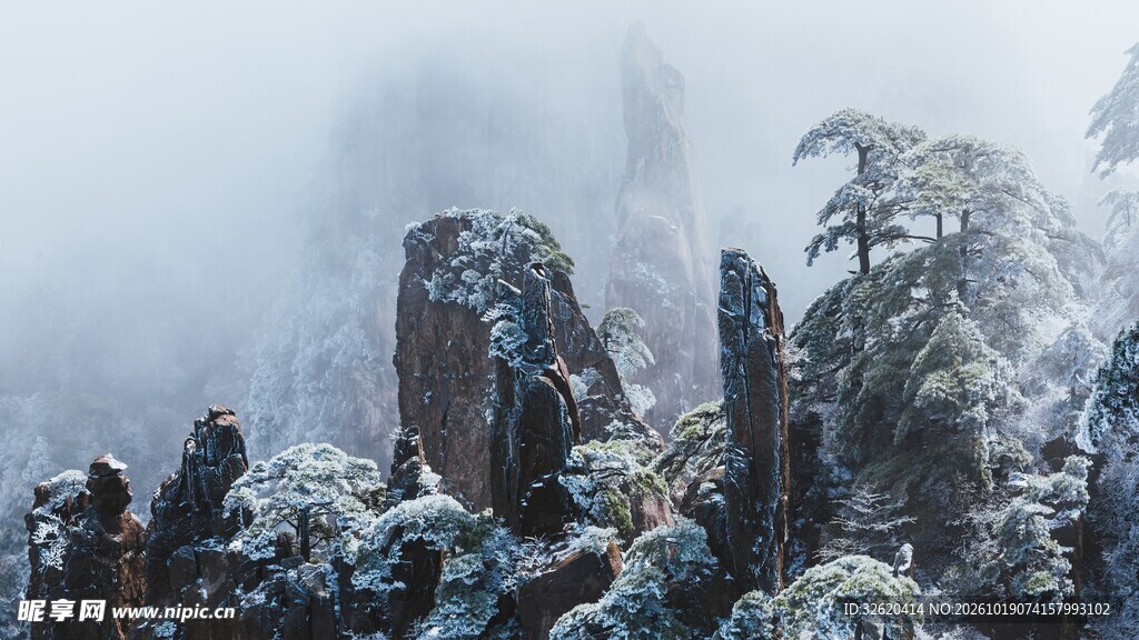 雪雾山间奇石怪松