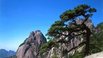 黄山迎客松风光