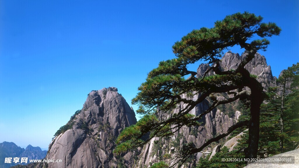 黄山迎客松风光