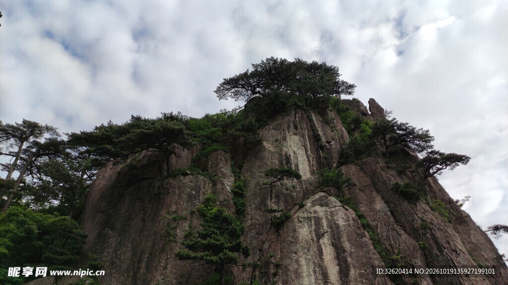绝壁苍松风光
